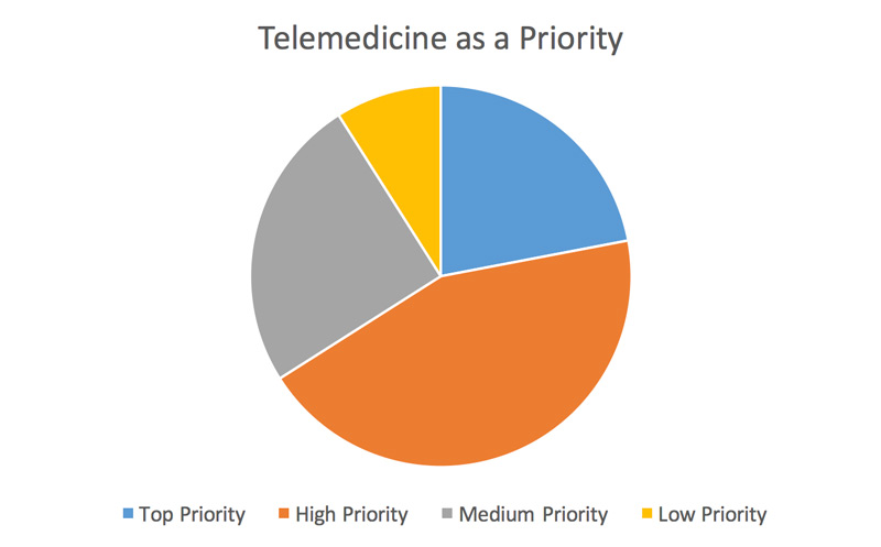 Telemedicine as a priority - Pie Chart
