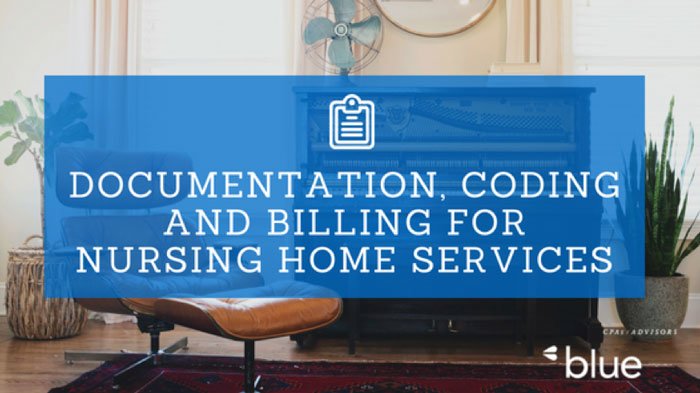 Documentation, coding, and billing for nursing home services