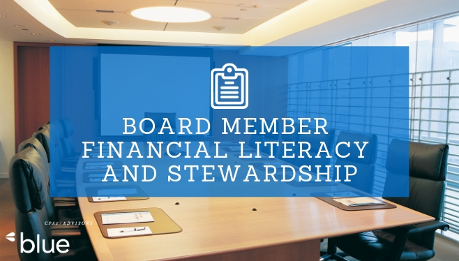 Board Member Financial Literacy and Stewardship
