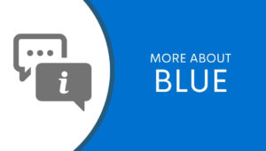 Learn more about Blue and Co
